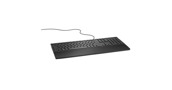 Dell KB216 toetsenbord USB AZERTY Belgisch Zwart