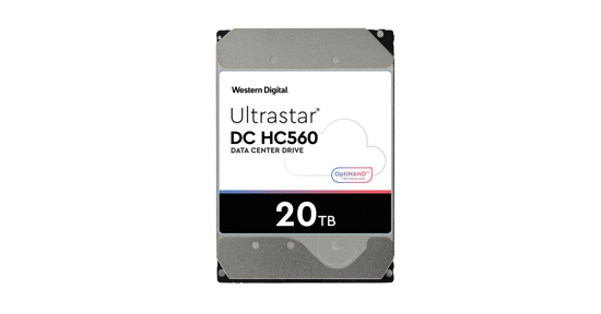 Western Digital Ultrastar 0F38754 interne harde schijf 3.5" 20 TB NL-SATA