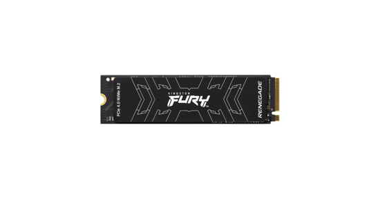 Kingston FURY Renegade M.2 1 TB PCI Express 4.0 3D TLC NVMe