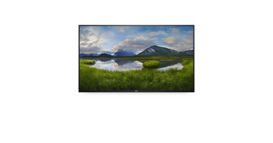 Dell P5524Q Digitale signage flatscreen 138,7 cm (54.6") LCD 350 cd/m² 4K Ultra HD Zwart