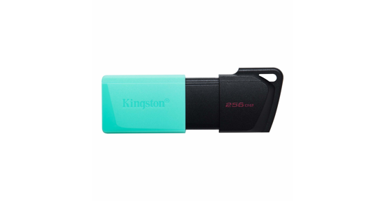 Kingston DataTraveler Exodia M USB flash drive 256 GB USB Type-A 3.2 Gen 1 (3.1 Gen 1) Zwart, Turkoois