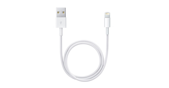 Apple Lightning / USB 0,5 m Wit