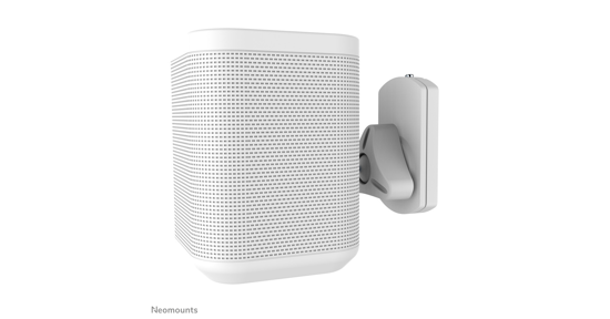 Newstar Sonos Play1 & Play3 wandsteun