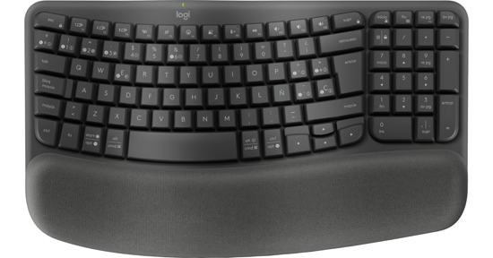 Logitech Wave Keys for Business toetsenbord RF-draadloos + Bluetooth QWERTZ Zwitsers Grafiet