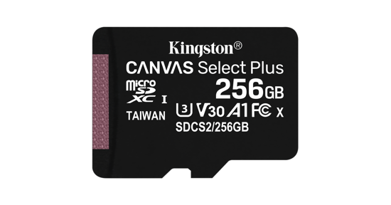 Kingston 256GB micSDXC Canvas Select Plus 100R A1 C10 enkel pakket zonder ADP