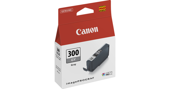 Canon 4200C001 inktcartridge 1 stuk(s) Origineel Grijs