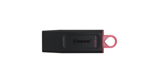 Kingston DataTraveler Exodia USB flash drive 256 GB USB Type-A 3.2 Gen 1 (3.1 Gen 1) Zwart