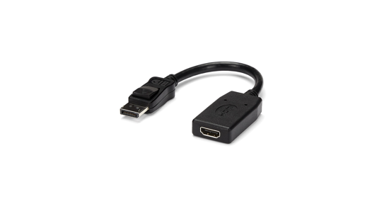 Startech DisplayPort naar HDMI Video Adapter Converter