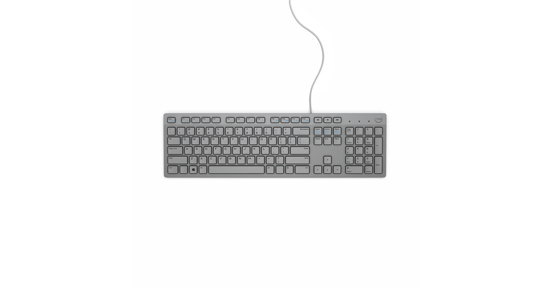 Dell KB216 toetsenbord USB QWERTY US International Grijs