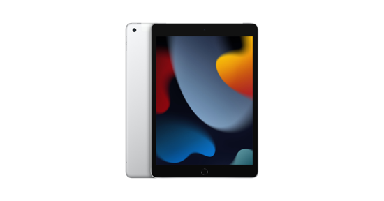 Apple iPad 4G LTE 256 GB 25,9 cm (10.2") Wi-Fi 5 (802.11ac) iPadOS 15 Zilver