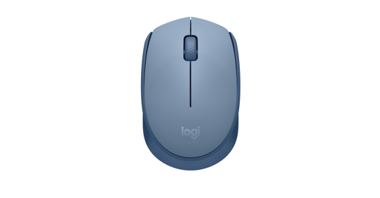 Logitech M171 muis Ambidextrous RF Draadloos Optisch