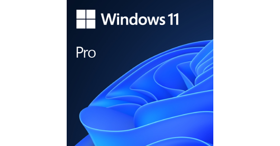 Microsoft Windows 11 Pro OEM