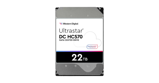 Western Digital Ultrastar DH HC570 3.5" 22 TB SAS