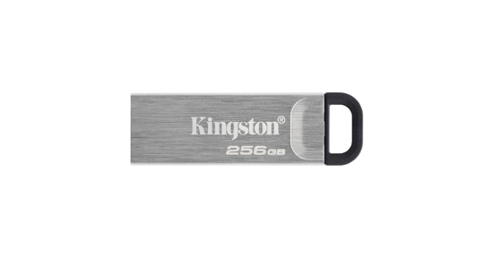 Kingston DataTraveler Kyson USB flash drive 256 GB USB Type-A 3.2 Gen 1 (3.1 Gen 1) Zilver