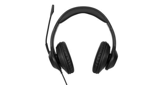 Targus AEH102GL hoofdtelefoon/headset Bedraad Hoofdband Oproepen/muziek USB Type-A Zwart