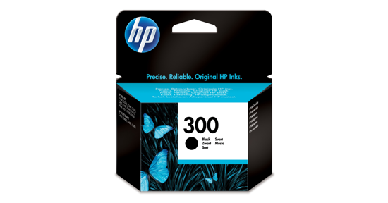 HP 300 originele zwarte inktcartridge