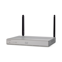 Cisco C1161-8PLTEP draadloze router Gigabit Ethernet Zilver