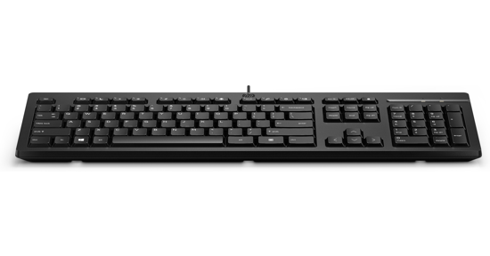 HP 125 USB WD KBD (bulk 12)