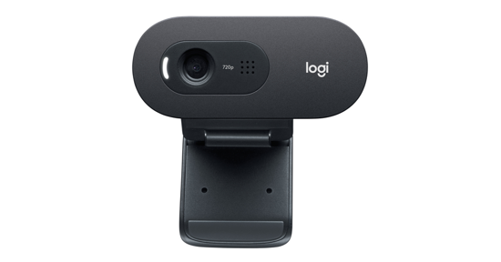 Logitech C505e webcam 1280 x 720 Pixels USB Zwart