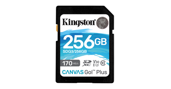 Kingston 256GB SDXC Canvas Go Plus 170R C10 UHS-I U3 V30