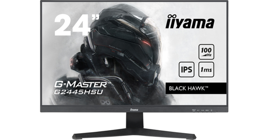 iiyama G-MASTER computer monitor 61 cm (24") 1920 x 1080 Pixels Full HD LED Zwart