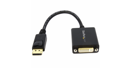 Startech DisplayPort naar DVI Video Adapter Converter