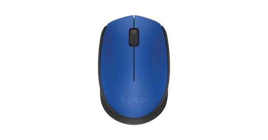 Logitech M171 Blue-K muis Ambidextrous RF Draadloos Optisch 1000 DPI